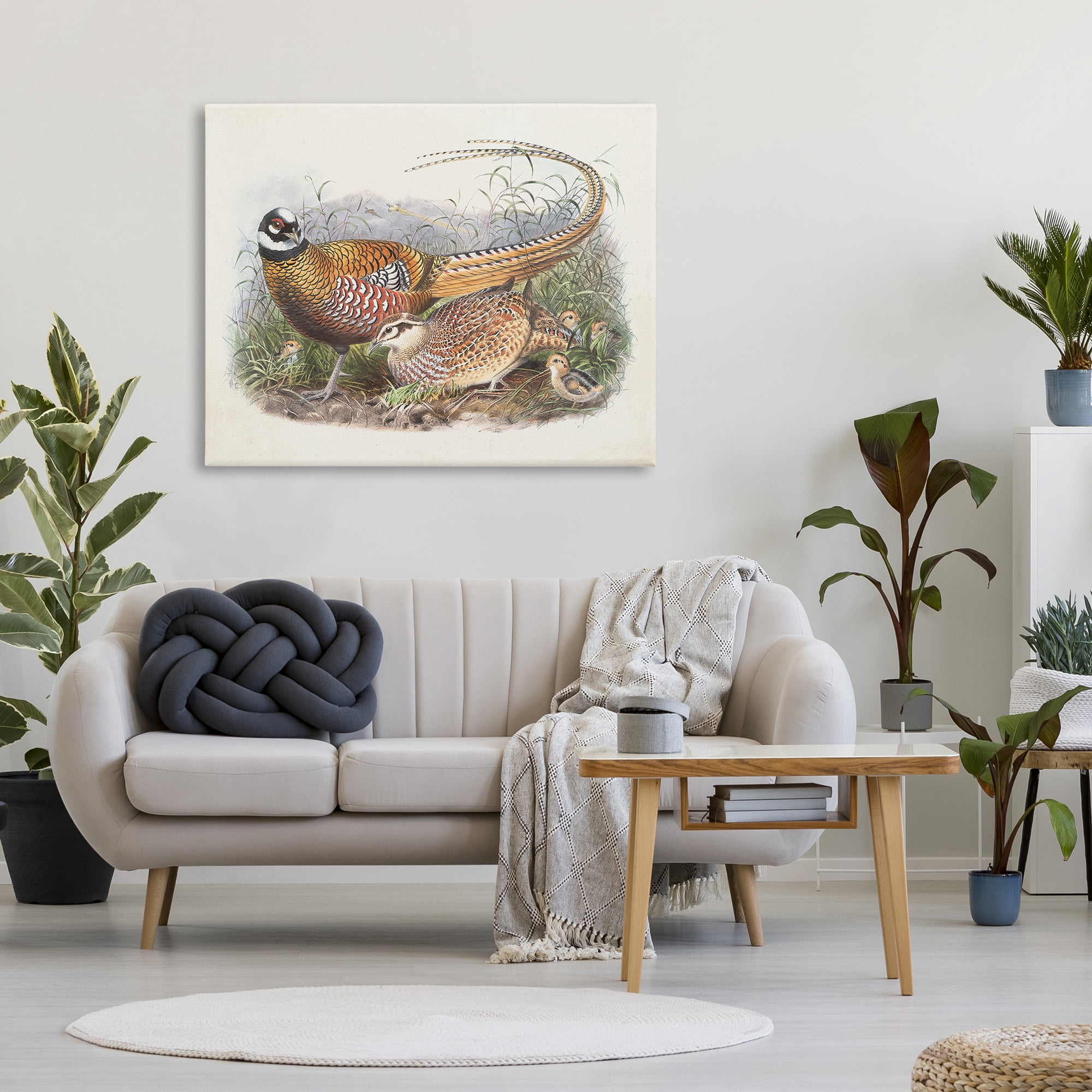 Stupell Industries Pheasant Family in Nature Animals & Insects Painting Gallery Wrapped Canvas Art Print Wall Art, 48 x 36