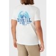 thumbnail image 4 of O'Neill Men's T-Shirt Shaved Ice Short Sleeve Crewneck Tee (Medium, Natural (Off White)), 4 of 5