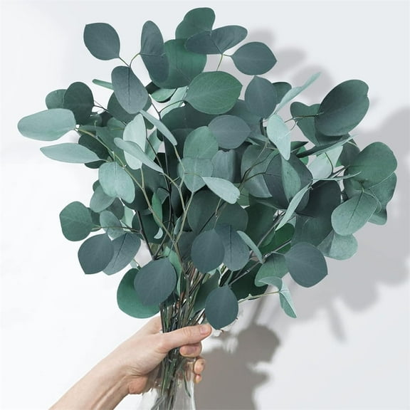 NOGIS 2oz Eucalyptus Leaves Stems for Decor, Artificial Eucalyptus Leaves Bulk Silver Dollar Green Branches for DIY Wedding Floral Garland Bouquets Arrangement Home Party Decoration