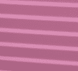 Cashmere Rose