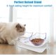 thumbnail image 4 of UBIUO Cat Bowls Elevated Cat Food Water Bowls Set, 15 Tilted Raised Cat Bowls, Anti Vomiting Cat Dish Pet Feeder Bowls with Stand for Indoor Cats and, 4 of 4