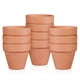 thumbnail image 1 of EeaseMX BESTOMZ - 10 macetas pequeñas de terracota de arcilla, macetas de cerámica para cactus, suculentas, para viveros, recuerdo de boda, 1 of 7