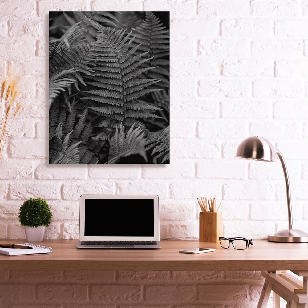 Stupell Industries Ferns in the Forest Black and White Photograph Designed by Unsplash