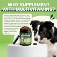thumbnail image 4 of Multivitamínicos masticables para perros Ticika 24 en 1, 200 unidades, 4 of 7