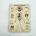 thumbnail image 7 of Wooden Puzzle Reusable Smooth Surface Bright Color Human Anatomy Jigsaw Early Education Toys for Daily Entertainment, 7 of 7