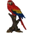 thumbnail image 4 of Estatua del loro en la rama de Hi-Line Gift Ltd Sincero Electrónica, 4 of 4