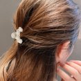 thumbnail image 3 of Pinza para el cabello con perlas, pinzas para el cabello, pinzas para el cabello con sujeción fuerte, pasadores grandes, accesorios para el cabello antideslizantesestilo: estilo2;, 3 of 5