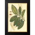 thumbnail image 2 of Unknown 11x14 Black Modern Framed Museum Art Print Titled - Floral Fantasia IV, 2 of 5