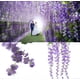 thumbnail image 5 of 12pcs Artificial Flowers Silk Wisteria Vine Ratta Silk Flower Hanging Wedding Decor (Purple), 5 of 5