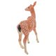 thumbnail image 3 of Juguete educativo Yotijar Modelo animal, 3 of 10