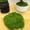 F, variant on Artificial Dark Green Moss is Used for Handicrafts, Artificial Moss, Glass Vase Fillers, Wedding/Spring Green Parties/Indoor Flower Pots/DIY Rainforest Models/Table Decoration (50g)