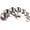 A: 8cups, variant on Measuring Cup Set of 8, 18/8 Stainless Steel Measuring Cups for Kitchen & Baking, Heavy Duty Metric & US Measure Cups Set with 2/3 Cup & 3/4 Cup Meaure Cups