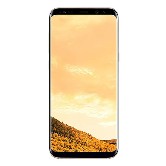 Samsung Galaxy S8 Plus SM-G955U 64GB Smartphone Unlocked