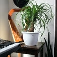 thumbnail image 3 of The HC Companies Sevilla Round Self-Watering Pot with Internal Disk, 16 Inch, White, 3 of 3