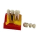 thumbnail image 2 of Modelo de dientes 4 veces, modelo de enseñanza, resina, modelo de exhibición de enseñanza de dientes para estudiantes, 2 of 9