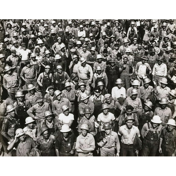 Much Here Is Beautiful, (Hardcover)