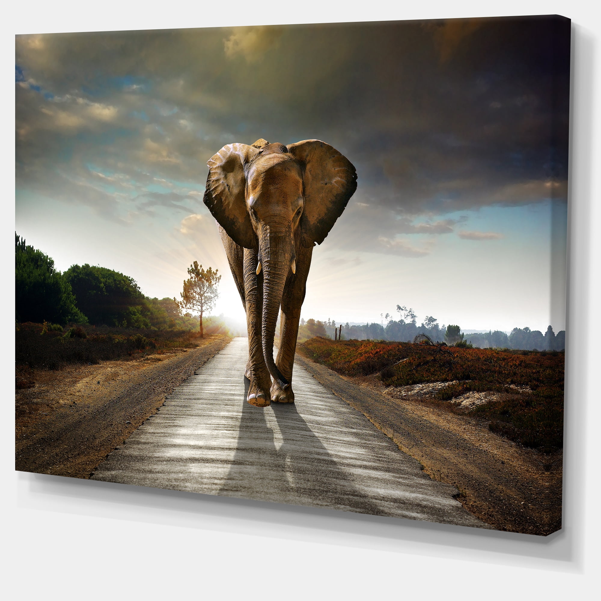 Designart 'Single Walking Elephant ' Photography Canvas Art Print