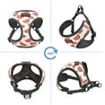 thumbnail image 4 of Didog Cute Dog Harness Reflective Soft Breathable Mesh Cat Pet Puppy Vest for Small Medium Breeds Jack Russell Pug, 4 of 9