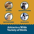 thumbnail image 5 of Pennington Feeding Frenzy Peanut No-Melt Suet Nuggets, 27 oz., Wild Bird Food for Outside Feeders, 1 Pack, Fresh, 5 of 13