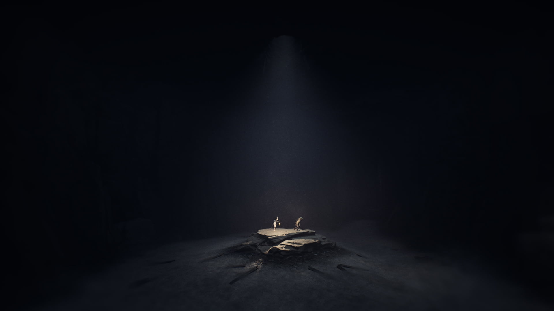 REANIMAL - Collector's Edition (Nintendo Switch 2)