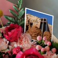 thumbnail image 3 of 3drose, Arizona, Sedona, Chapel of the Holy Cross - Us03 Jwi0214 - Jamie and Judy Wild, 6 Greeting Cards with Envelopes, 3 of 7