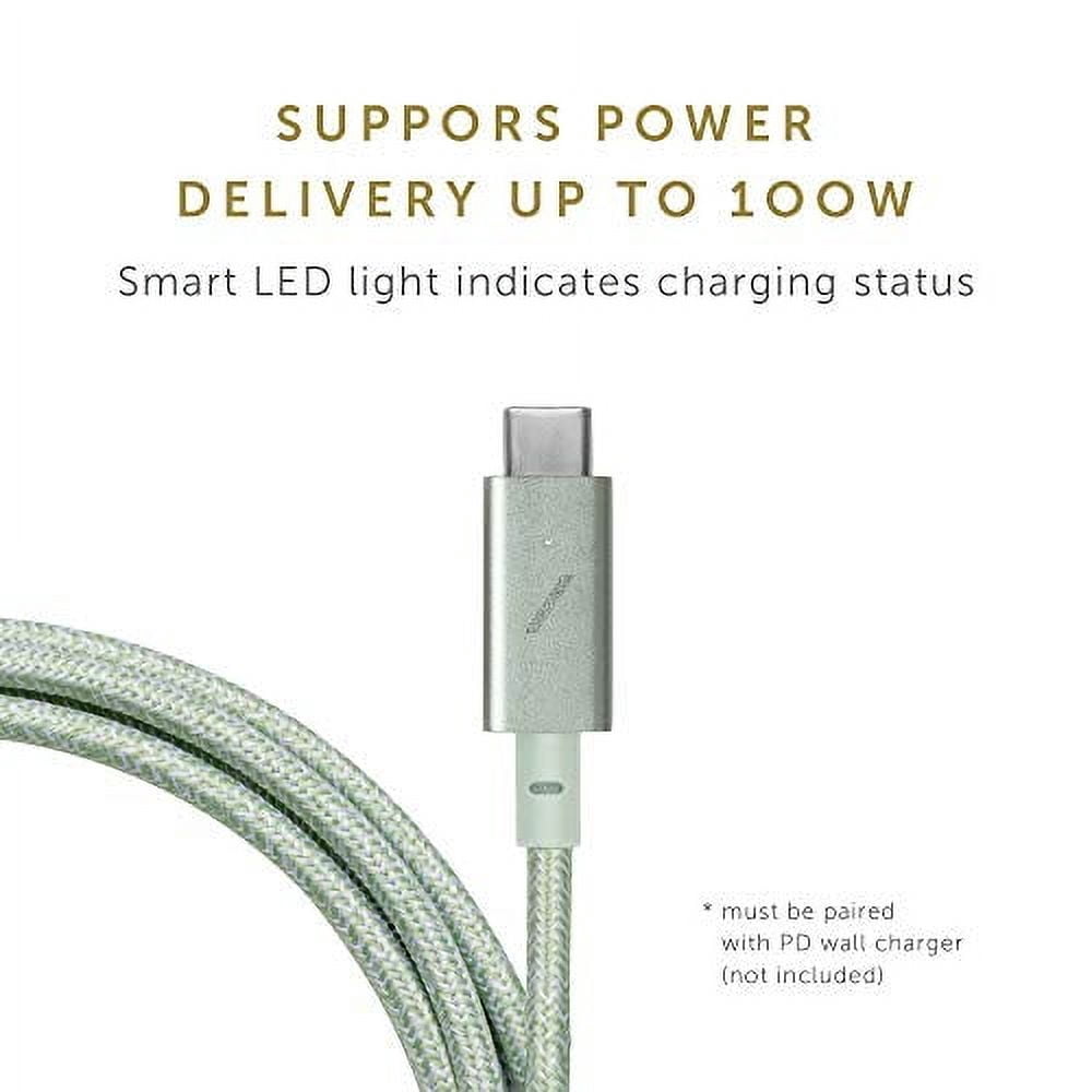 Native Union Belt Cable Pro - 100W USB Type C - 8ft Ultra-Strong Charging Cable for Laptop (Sage)