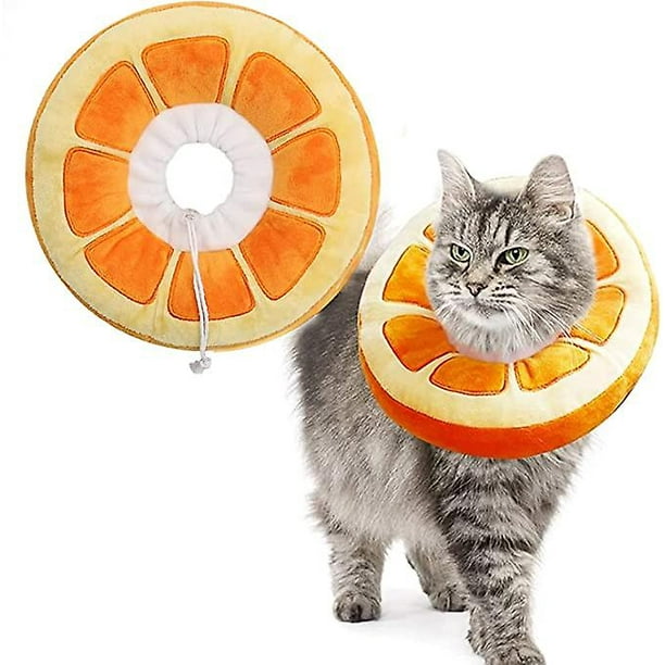 Cat neck sale wound protection