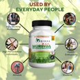 thumbnail image 3 of GreenVify Moringa Magic Max, 3 of 7