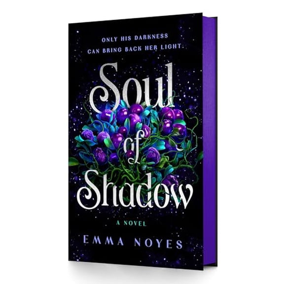 Pre-Owned Soul of Shadow: A Novel, 9781250342966, 1250342961, Hardcover,