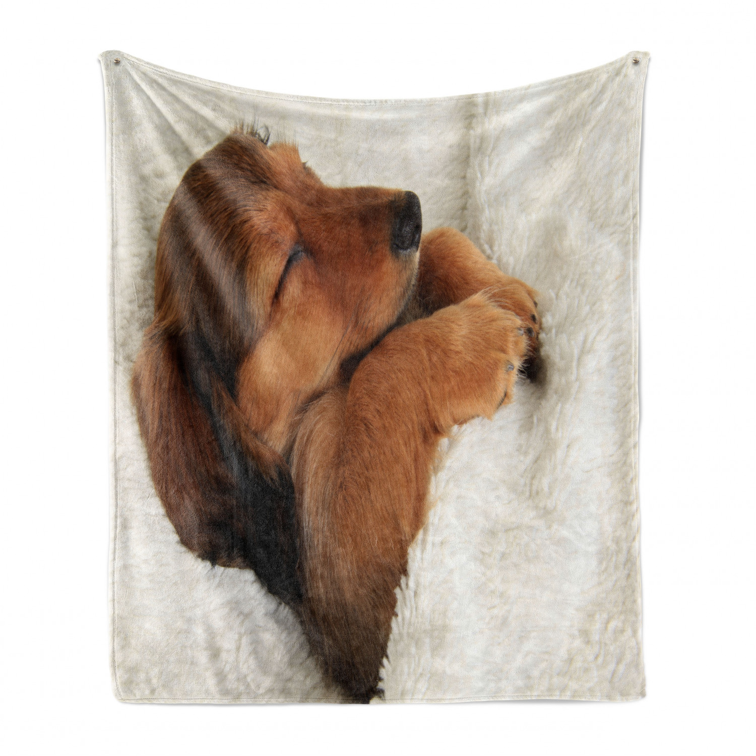 dachshund blanket bed bath and beyond