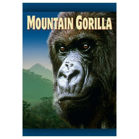 Mountain Gorilla (1992)