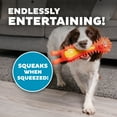 thumbnail image 4 of Outward Hound Latex Free Chew Dog Squeaky Toy, Assorted, Large, 4 of 5