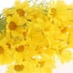 thumbnail image 5 of Ramo de Margaritas Colco 10 Paquetes Flores Artificiales Amarillo 58cm, 5 of 8
