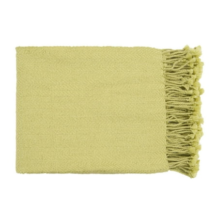 50" x 60" Sweet Indulgence Lime Green Throw Blanket - Walmart.com