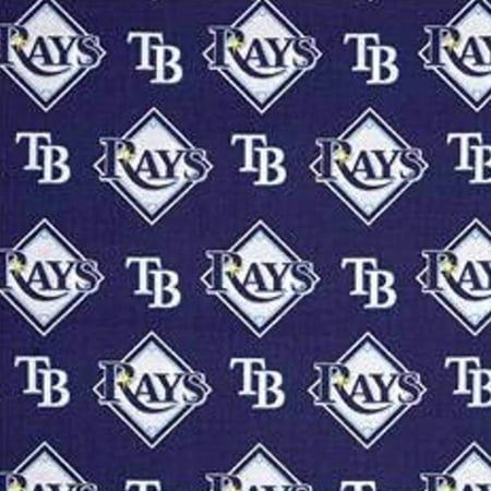 Rays Cotton Fabric