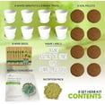 thumbnail image 2 of Deluxe Herb Garden Kit - 8 Variety Herbs for Indoor & Outdoor – Get Growing with Pots, Potting Soil for Window Herb Garden. (8 Set Deluxe herb kit), 2 of 7