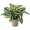 White Stripes, variant on Mosiee Soft Rubber Potted Plant 20cm Tall 7 Branch Foliage for Indoor Decor Display White Stripes