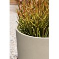 thumbnail image 4 of Mason Series 10'' Kona Round Planter Sand, 4 of 12