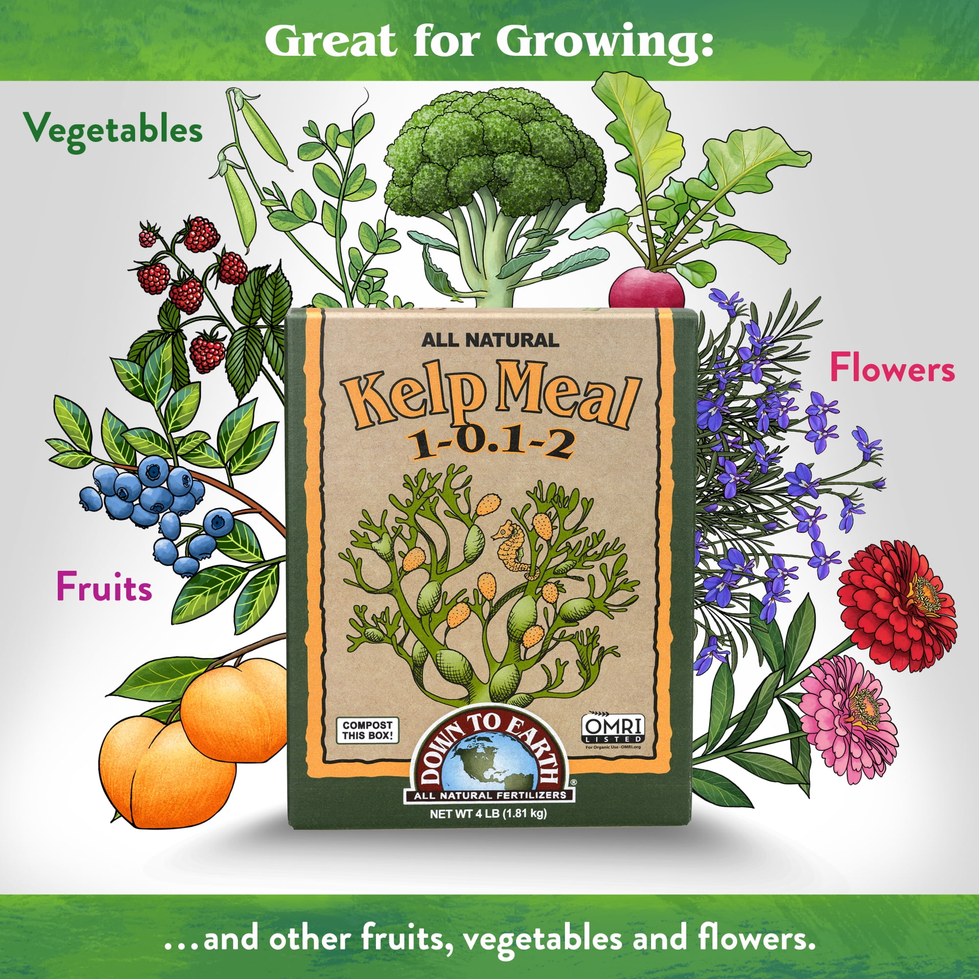 BFG Supply Kelp Meal Natural Fertilizer - 1-0.1-2 NPK, Slow Release - 4 Lb — Outdoor & Indoor Plant Use, Easy Application