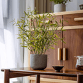 thumbnail image 3 of Realistic Mini Bamboo Leaf Potted Plant, 3 of 13