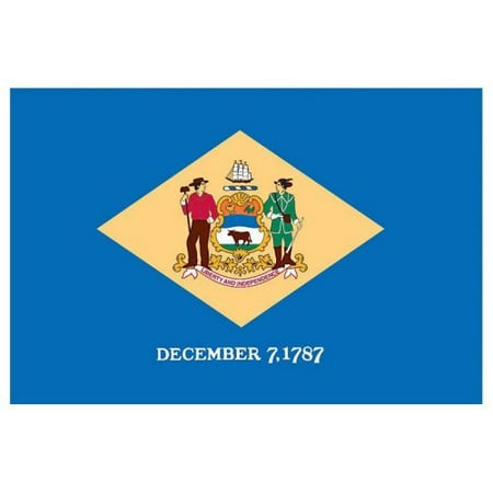 Delaware Today Online - Delaware Flag 3x5ft Nylon