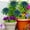Green,1PC Only, variant on Metal Zinnia Flower Garden Stake,6x5.3" 3D Metal Flower Stakes Outdoor Decor,Weather Resistant Metal Art Garden Accessory,Lawn Yard Patio Decoration, Colorful Zinnia Gifts for Garden Lovers
