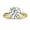 Yellow Gold, variant on IGI Certified 3.00 Carat Round Lab Grown White Diamond Solitaire Intertwined Strands Engagement Ring for Women in 18K Solid White Gold, Size 7