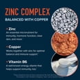 thumbnail image 4 of Zinc Microbeadlets with Copper for Immune & Acne Support | Chelated Zinc Supplement 30mg | 60 Ct, 4 of 10
