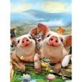 thumbnail image 1 of QQ954 Diamante Dos Cerditos Serie Animal Diamante Resina 30*40 CM, 1 of 9