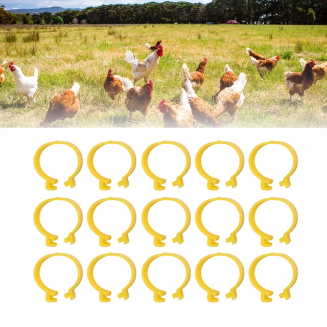 Chicken Leg Rings, Poultry Foot Ring Buckle Clip Ring DIY Number Tag Markers For Birds Chicken Duck Chicks Ducks Clip On Rings