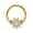 Gold, variant on Titanium Micro Cubic Zirconia Hinged Nose Hoop Ring Body Jewelry Unisex