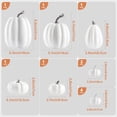 thumbnail image 3 of 12 Piece Living Artificial Pumpkin Set, Large Foam Pumpkins, Party Decoration, Assorted, for Fall, , , Holiday White, 3 of 8