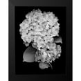 thumbnail image 2 of Blaustein, Alan 15x18 Black Modern Framed Museum Art Print Titled - Floral B-W - 26, 2 of 5