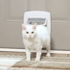 PetSafe Exterior / Interior Cat Door: 4-Way Locking Pet Door Flap - Tinted Privacy Door for Outdoor or Indoor Use - Weatherproof, Durable Door Frame - DIY Easy Install with Hardware Kit Included